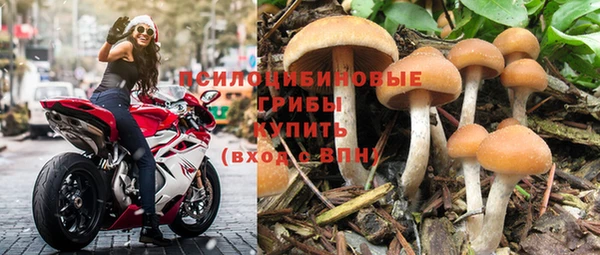 крисы Саяногорск