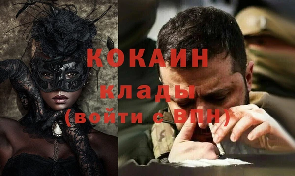 соль ск Алексин