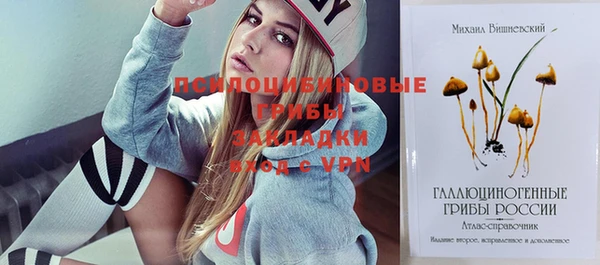 apvp Алексеевка