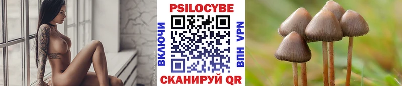 omg онион  Петров Вал  Псилоцибиновые грибы мухоморы 